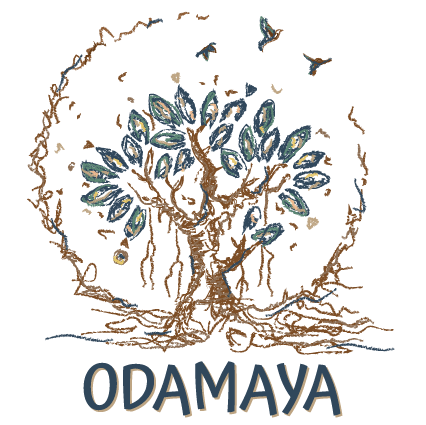 logo Odamaya