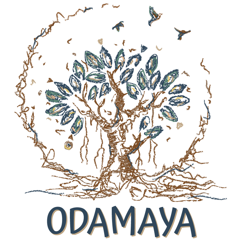 Logo ODAMAYA Transparent